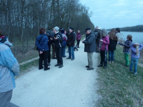 Auwald2014