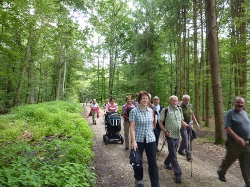 goldbergalm2014
