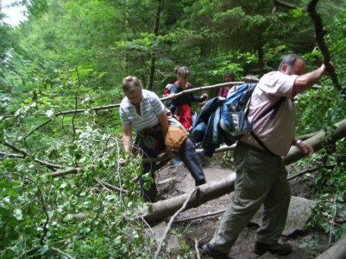 hoerschbach1