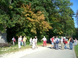 hohenstaufen1