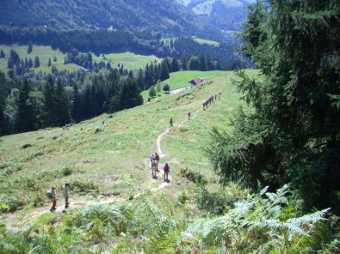 huendlekopf