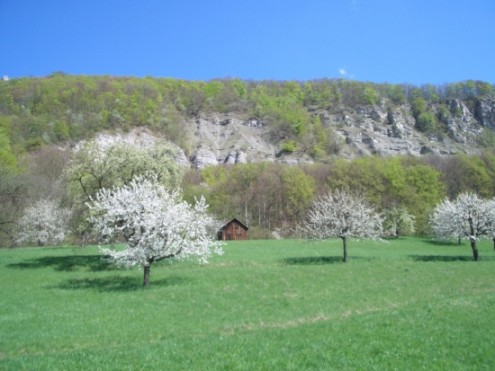 michslberg