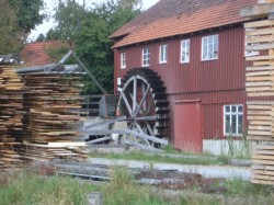 muehlenw3