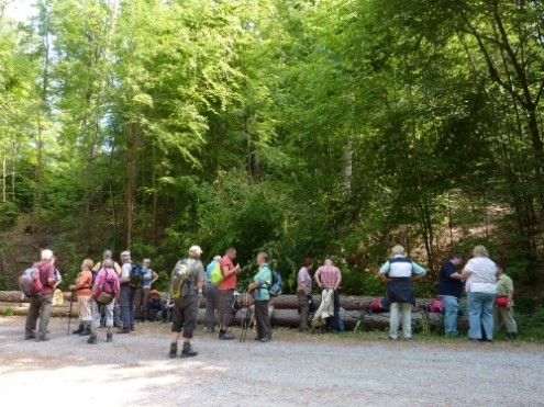raueberweg12011