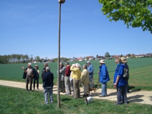 tagdesbaumes