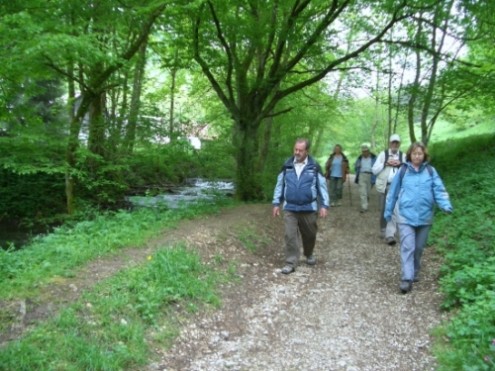 wiesensteig