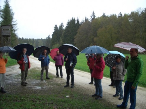 1. Maiwanderung 2015 um Hülen