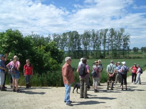 Dattenhauser Ried 2015