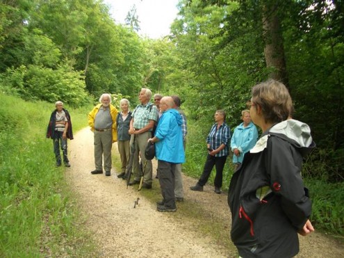 Stauer Tal 15062016