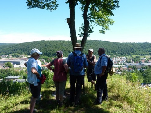 Albschäferweg Zang-HDH vom 10. Juli