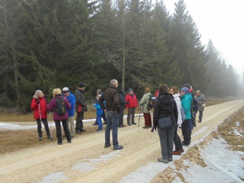 moldenberg-19-02-2017