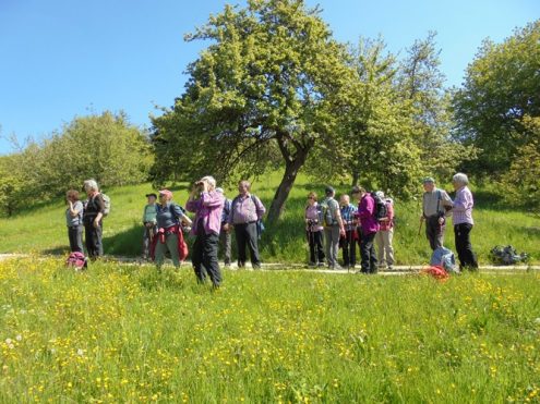 11-05-17-4-tage-remstahlhoehenweg